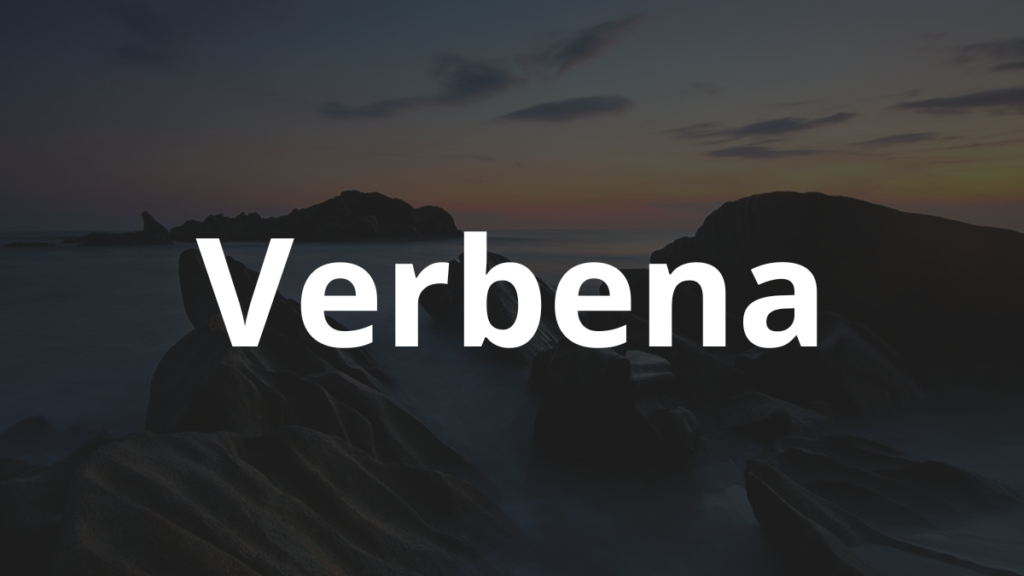Significado do nome Verbena