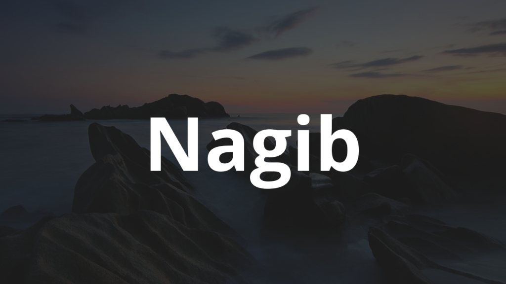 Significado do nome Nagib
