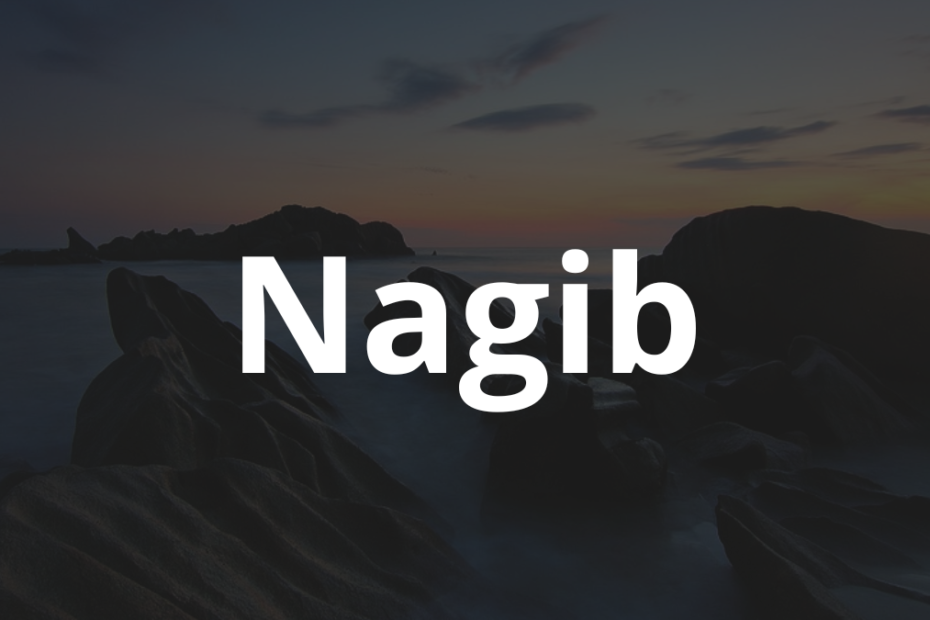 Significado do nome Nagib