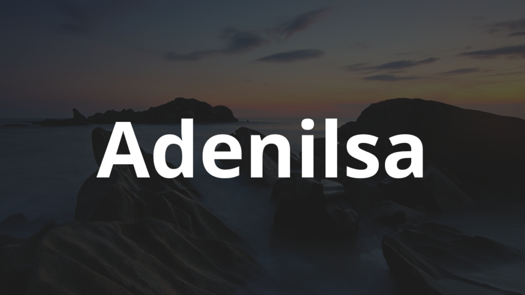 Significado do nome Adenilsa