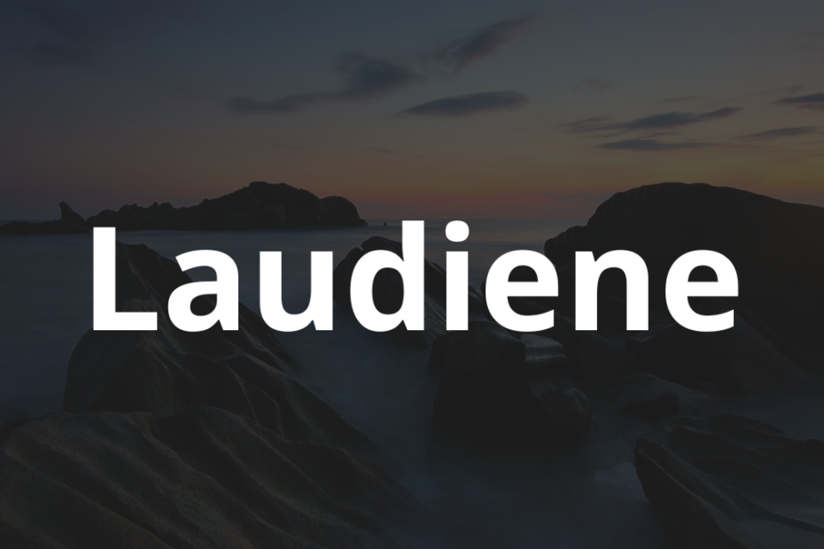 Significado do nome Laudiene