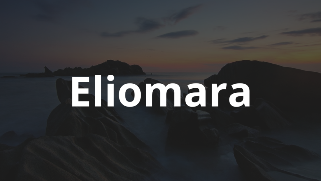 Significado do nome Eliomara