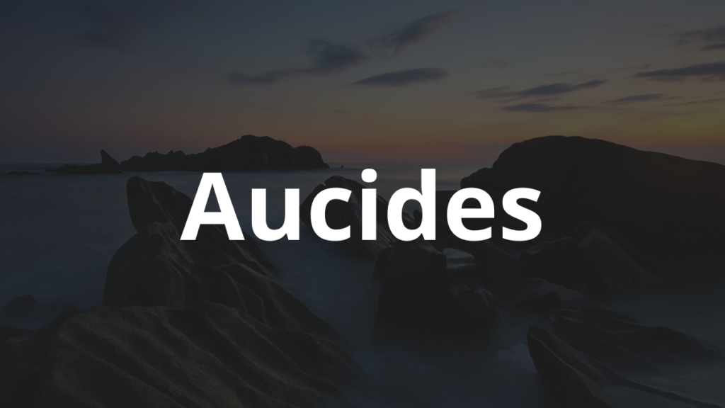 Significado do nome Aucides