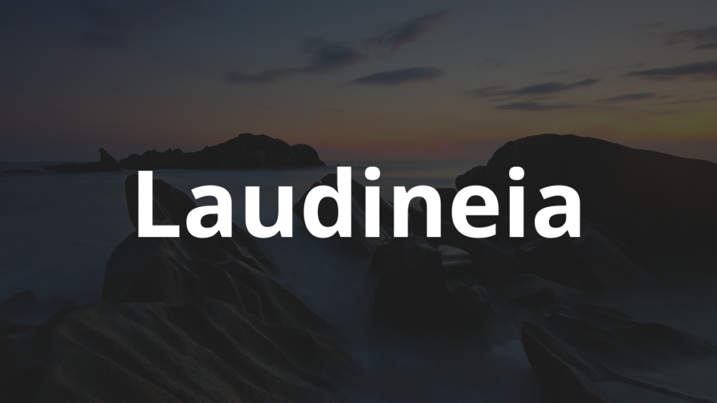 Significado do nome Laudineia