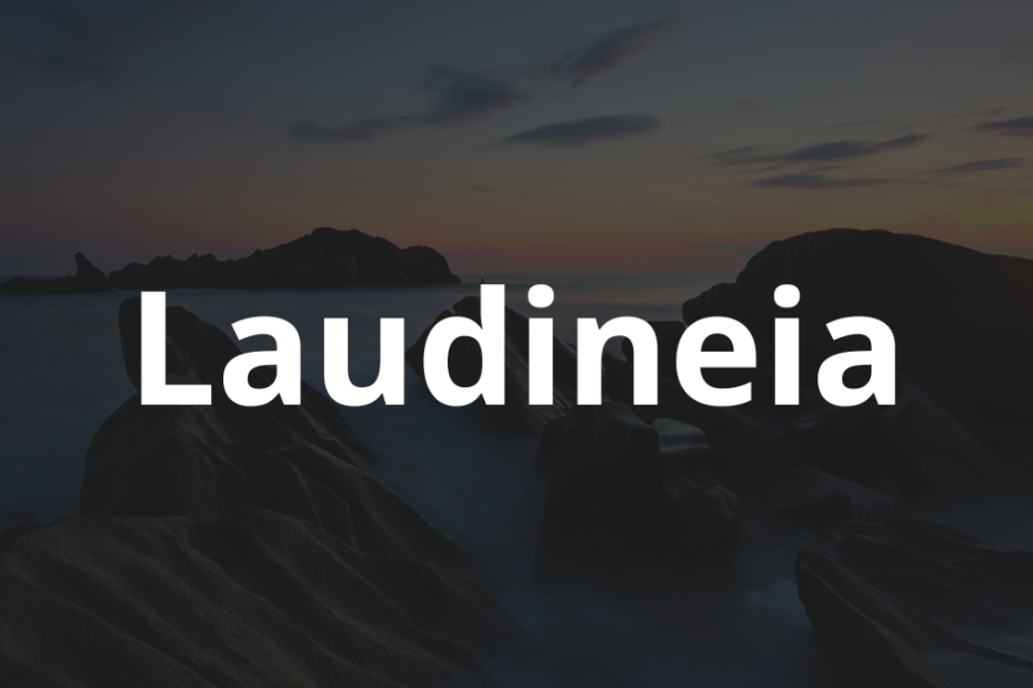 Significado do nome Laudineia: História e origem! 7 Significado do nome Laudineia