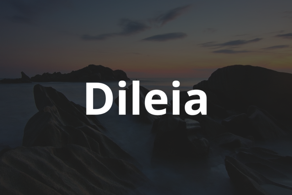 Significado do nome Dileia: História e origem! 8 Significado do nome Dileia