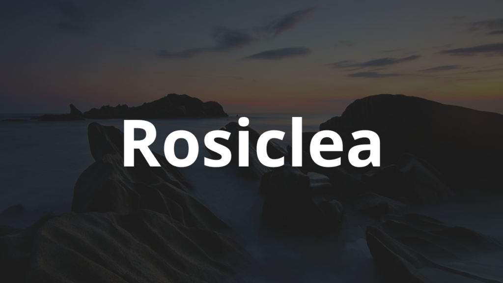 Significado do nome Rosiclea: História e origem! 1 Significado do nome Rosiclea