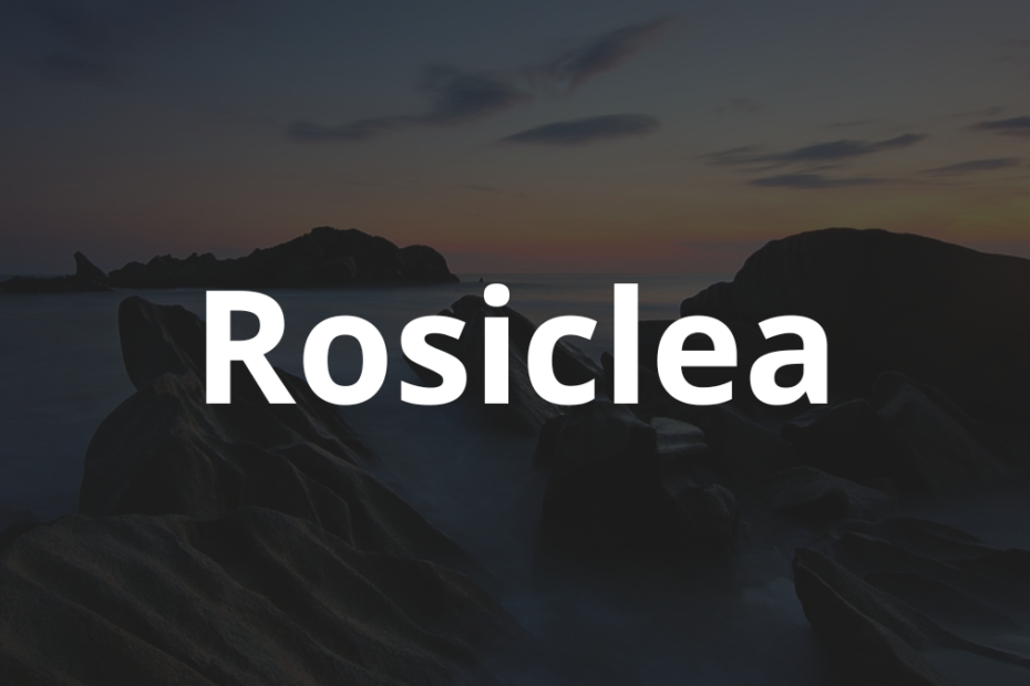 Significado do nome Rosiclea: História e origem! 5 Significado do nome Rosiclea
