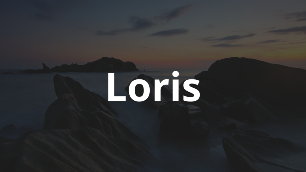 Significado do nome Loris: História e origem! 1 Significado do nome Loris