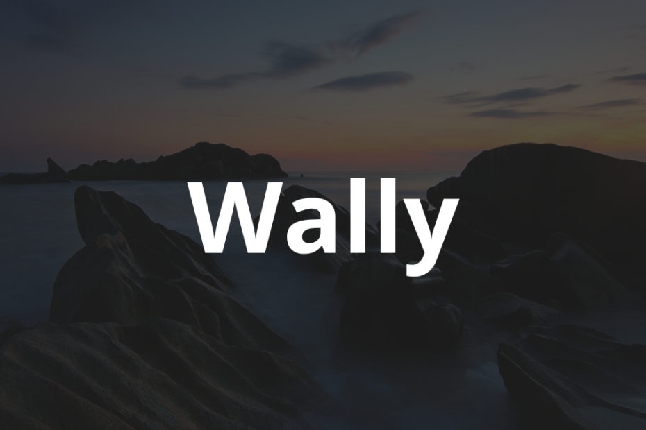 Significado do nome Wally