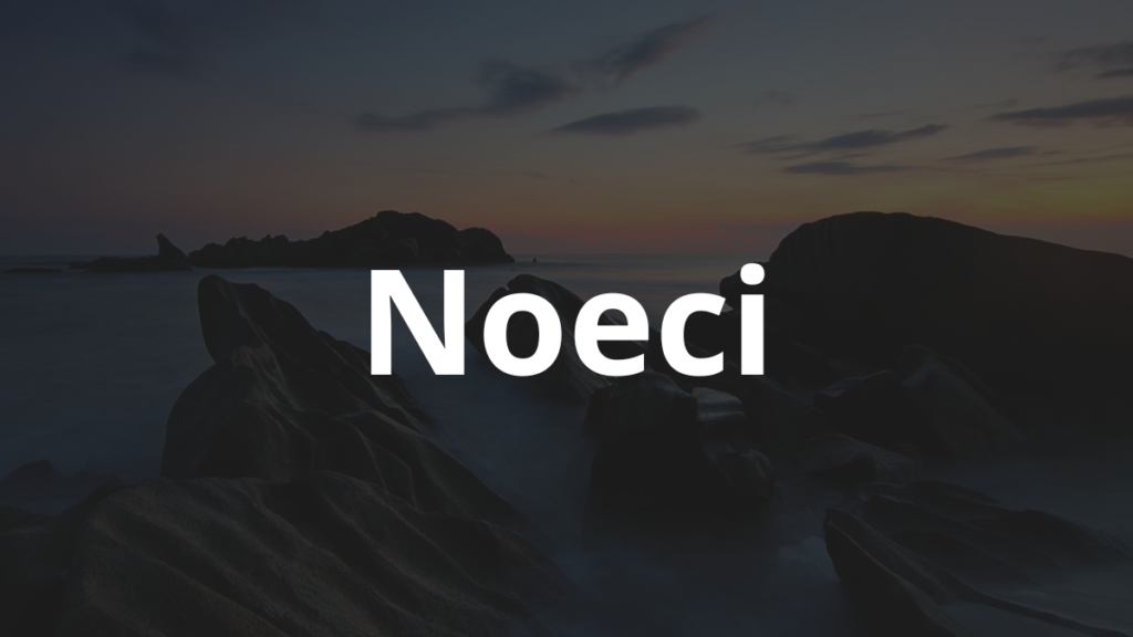 Significado do nome Noeci