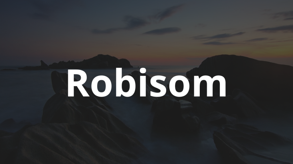 Significado do nome Robisom: História e origem! 1 Significado do nome Robisom
