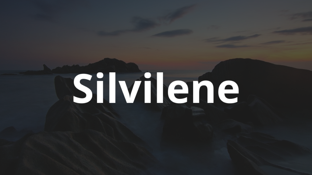 Significado do nome Silvilene: História e origem! 1 Significado do nome Silvilene