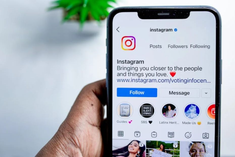 Como ganhar seguidores no Instagram