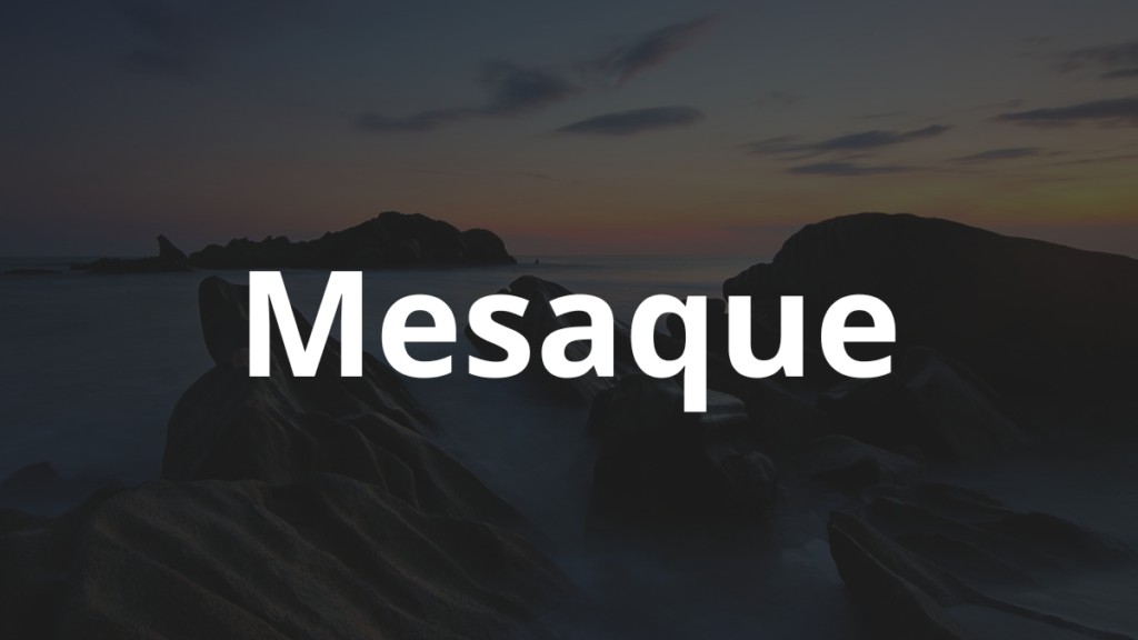 Significado do nome Mesaque