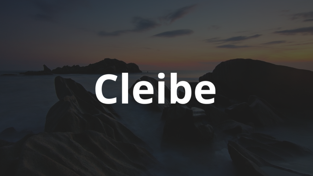 Significado do nome Cleibe: História e origem! 1 Significado do nome Cleibe