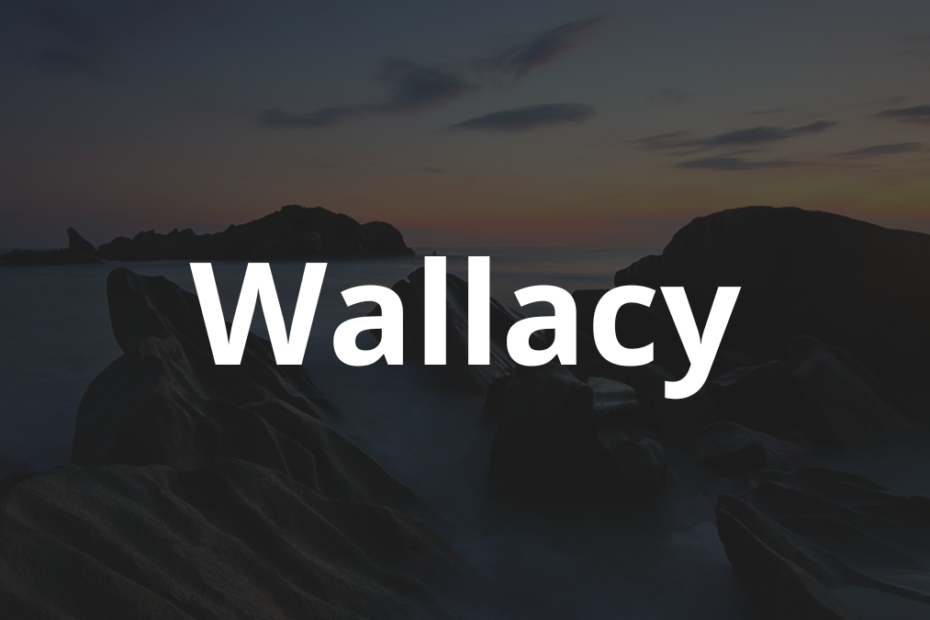 Significado do nome Wallacy: História e origem! 9 Significado do nome Wallacy