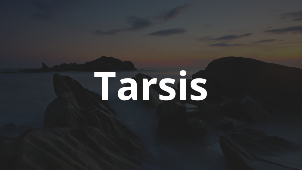Significado do nome Tarsis: História e origem! 1 Significado do nome Tarsis