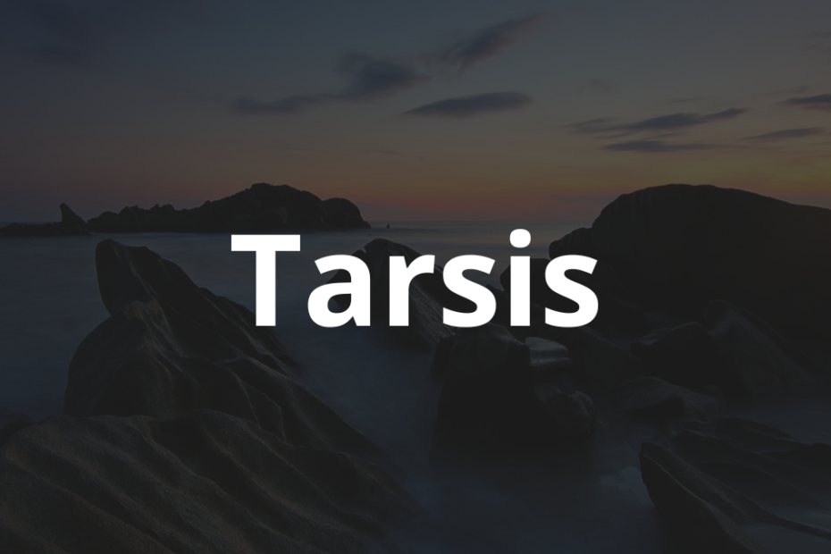 Significado do nome Tarsis