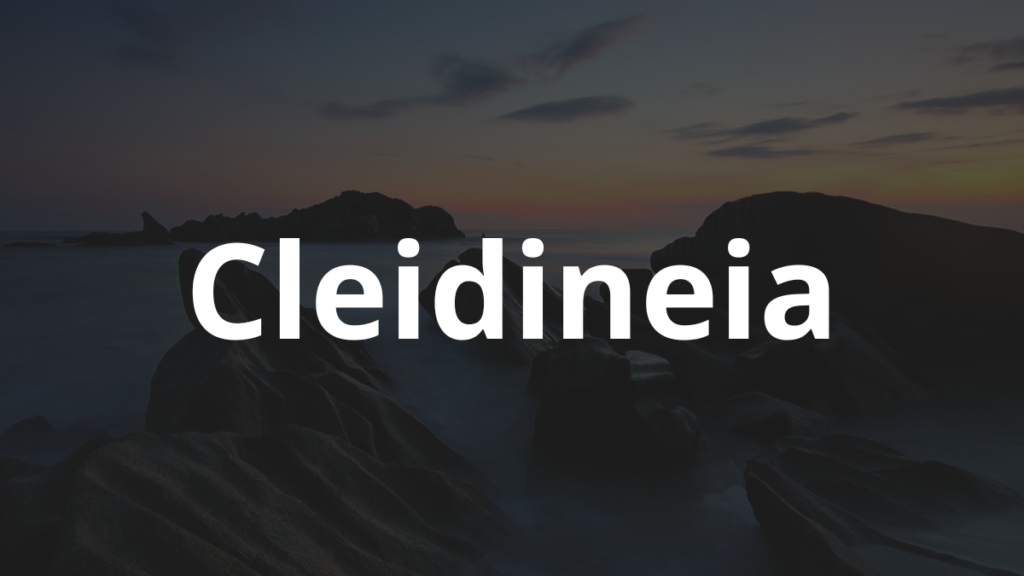 Significado do nome Cleidineia