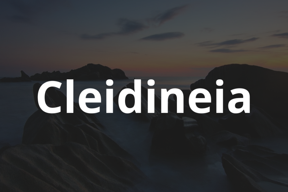 Significado do nome Cleidineia