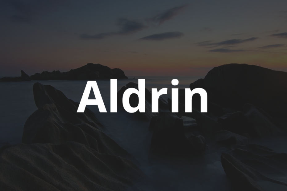 Significado do nome Aldrin