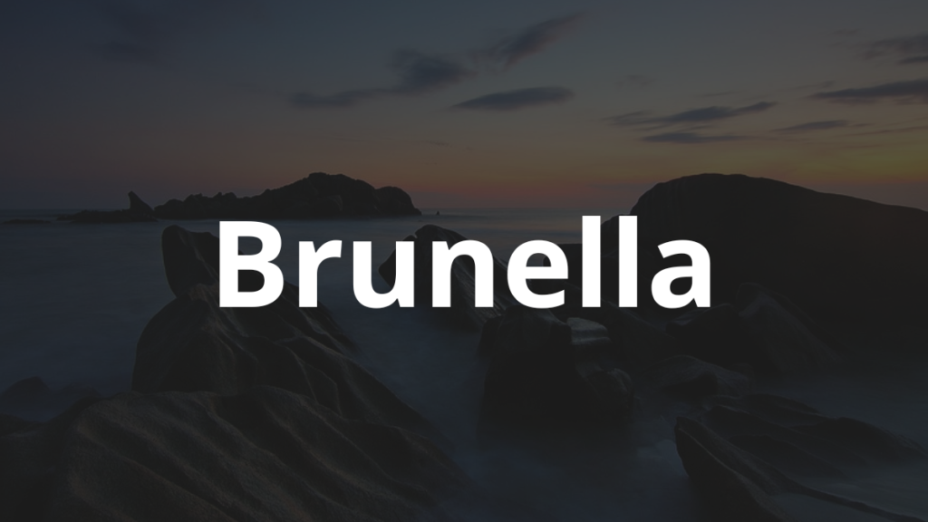 Significado do nome Brunella: História e origem! 1 Significado do nome Brunella