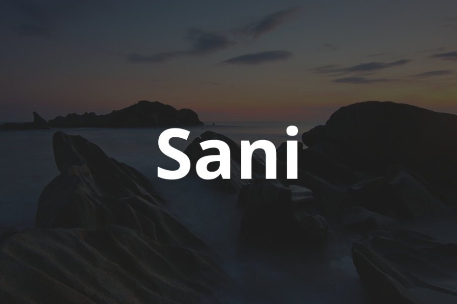 Significado do nome Sani