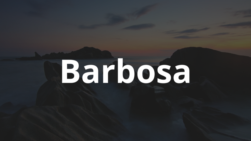 Significado do nome Barbosa