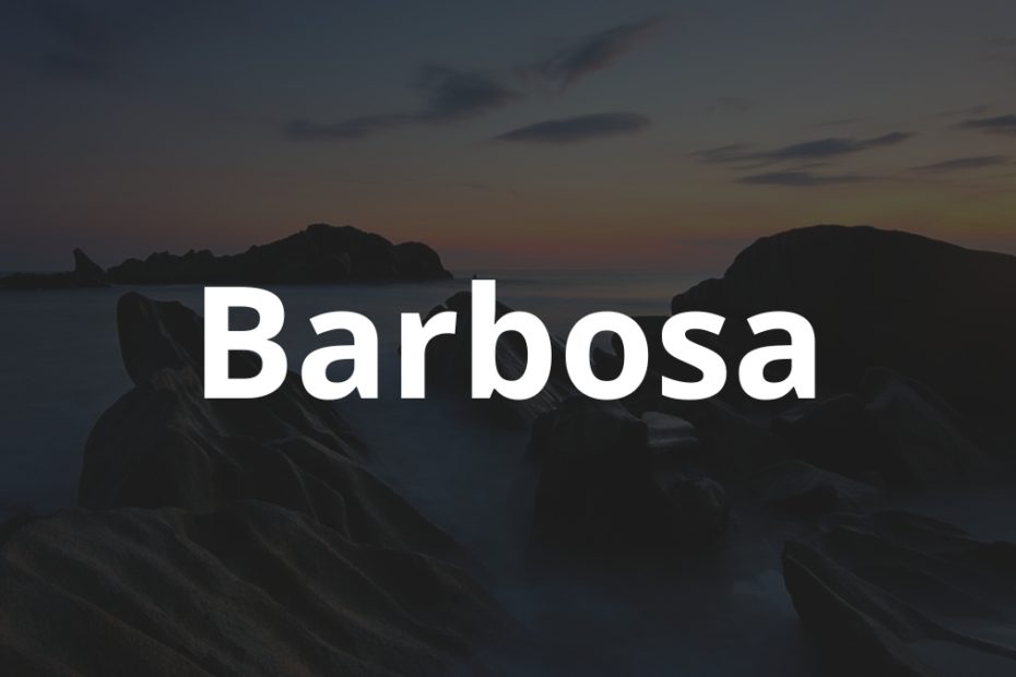 Significado do nome Barbosa