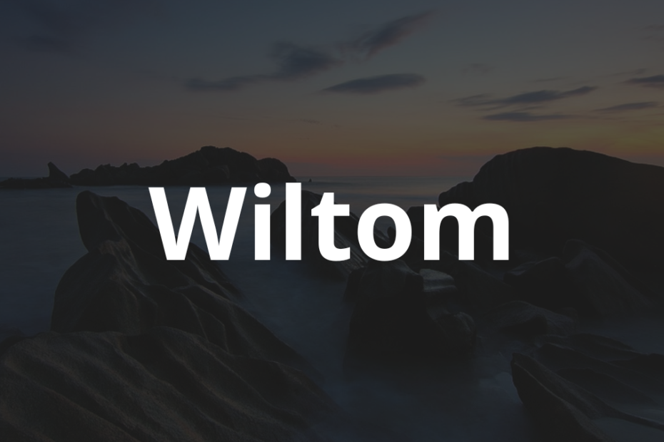 Significado do nome Wiltom