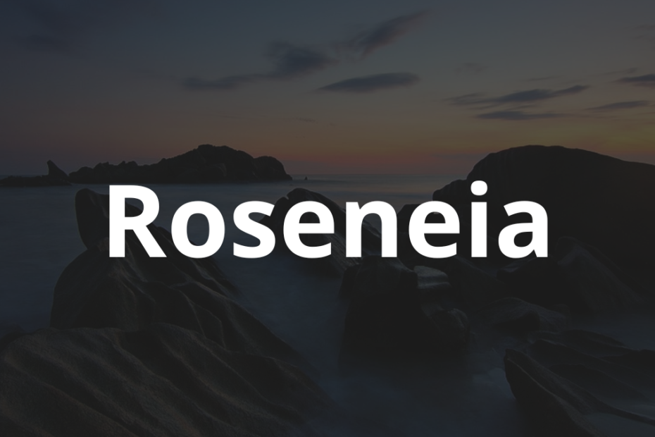 Significado do nome Roseneia