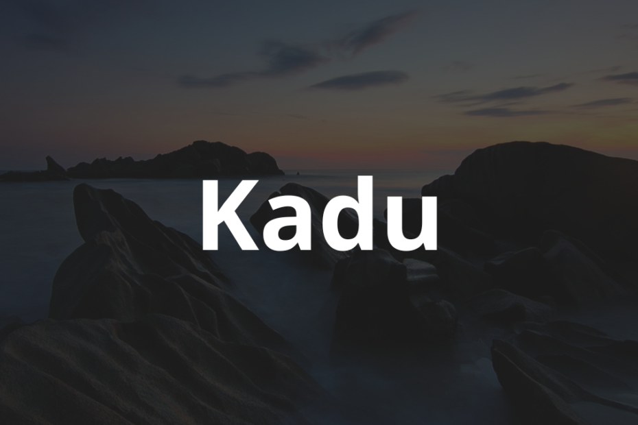 Significado do nome Kadu