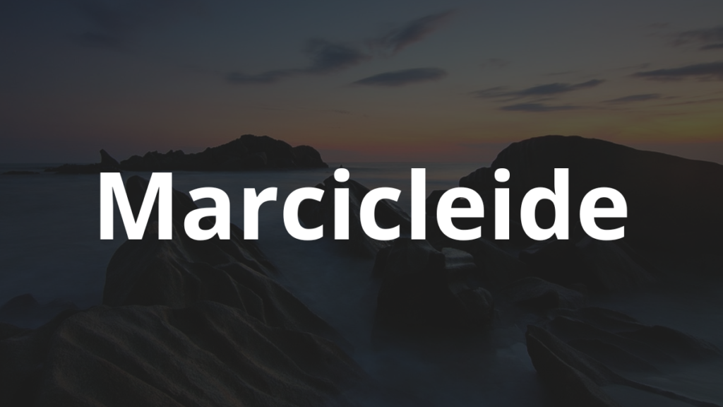 Significado do nome Marcicleide: História e origem! 1 Significado do nome Marcicleide