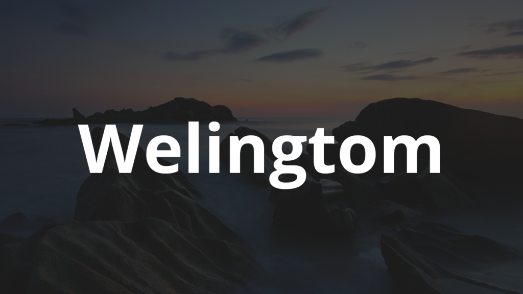 Significado do nome Welingtom: História e origem! 1 Significado do nome Welingtom