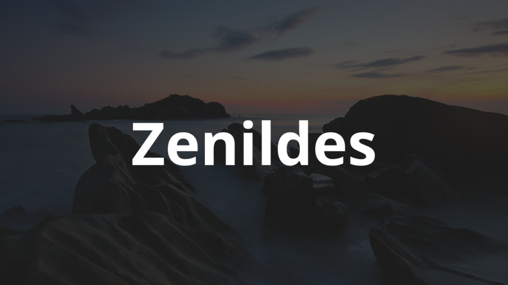 Significado do nome Zenildes