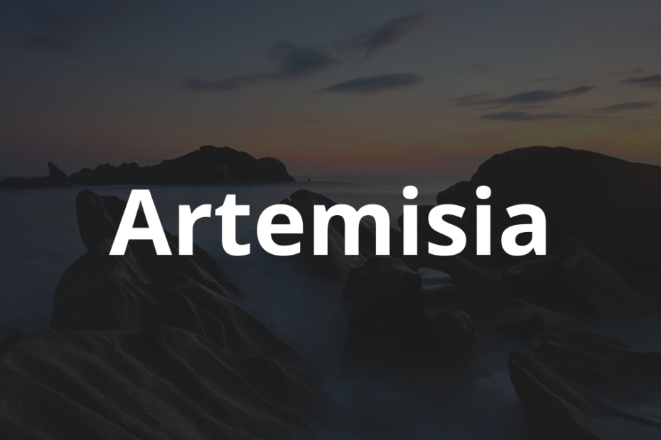 Significado do nome Artemisia: História e origem! 7 Significado do nome Artemisia
