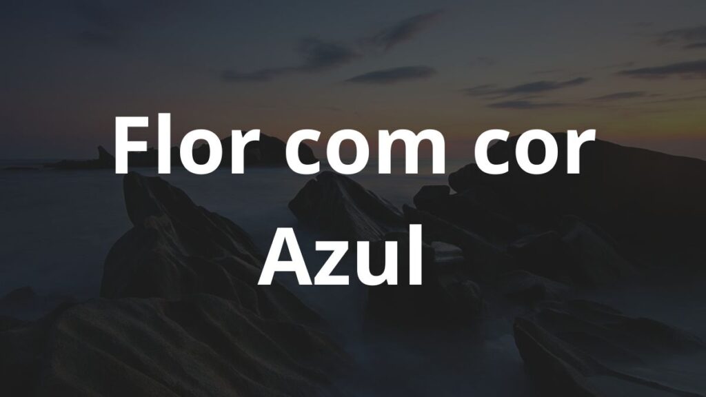 A flor cor azul: Significados e Conhecimentos! 1 flor cor azul