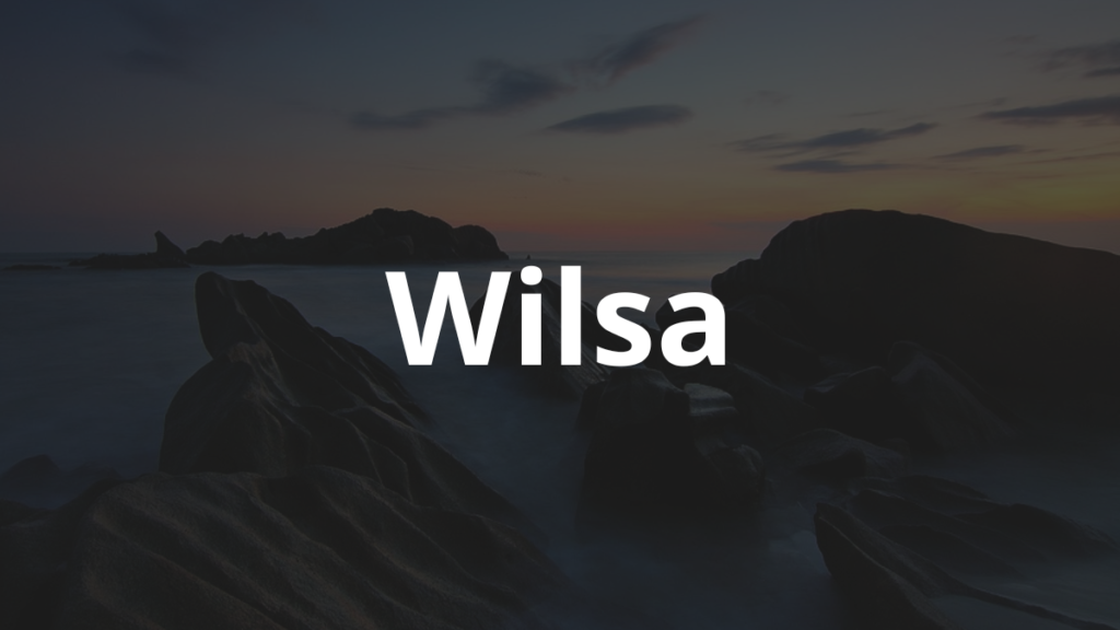 Significado do nome Wilsa
