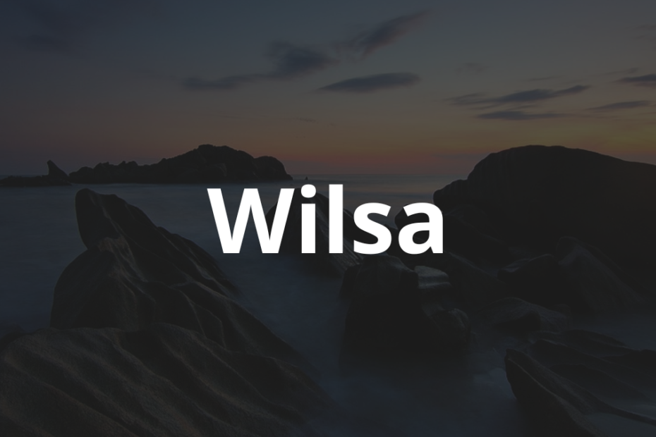 Significado do nome Wilsa: História e origem! 12 Significado do nome Wilsa