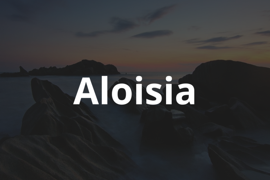 Significado do nome Aloisia: História e origem! 10 Significado do Nome Aloisia