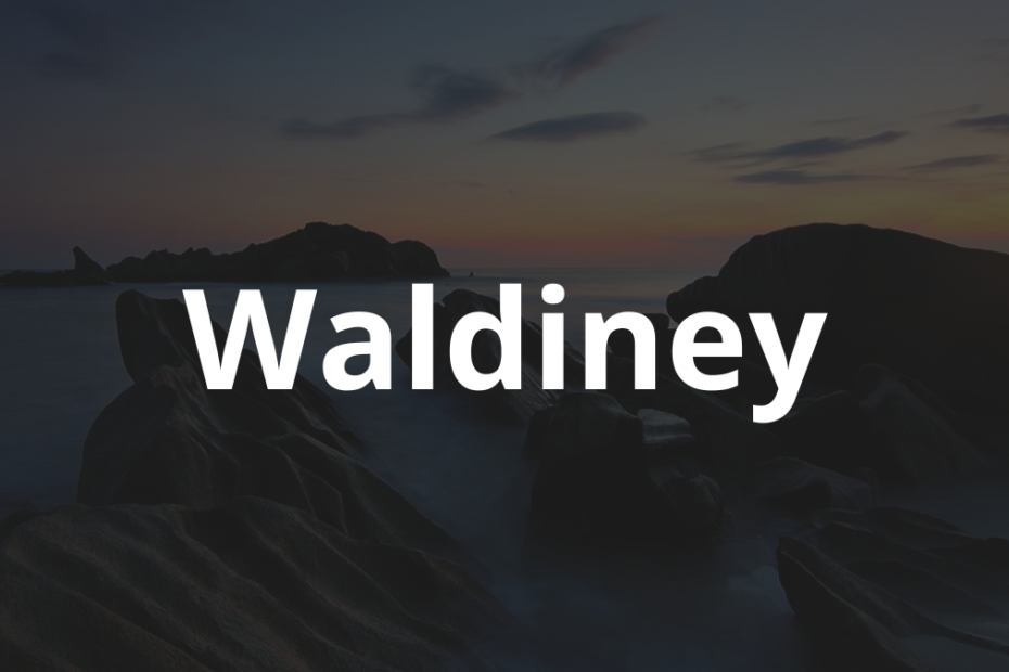 Significado do Nome Waldiney